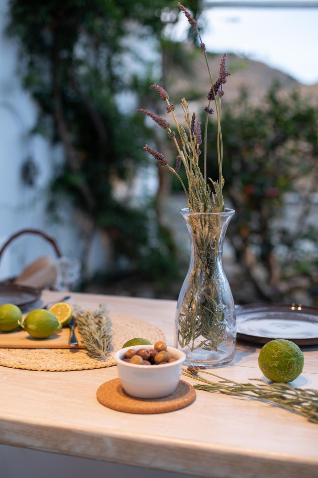 Levantes House Mykonos Ano Mera Exterior foto